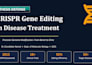 create professional powerpoint presentations